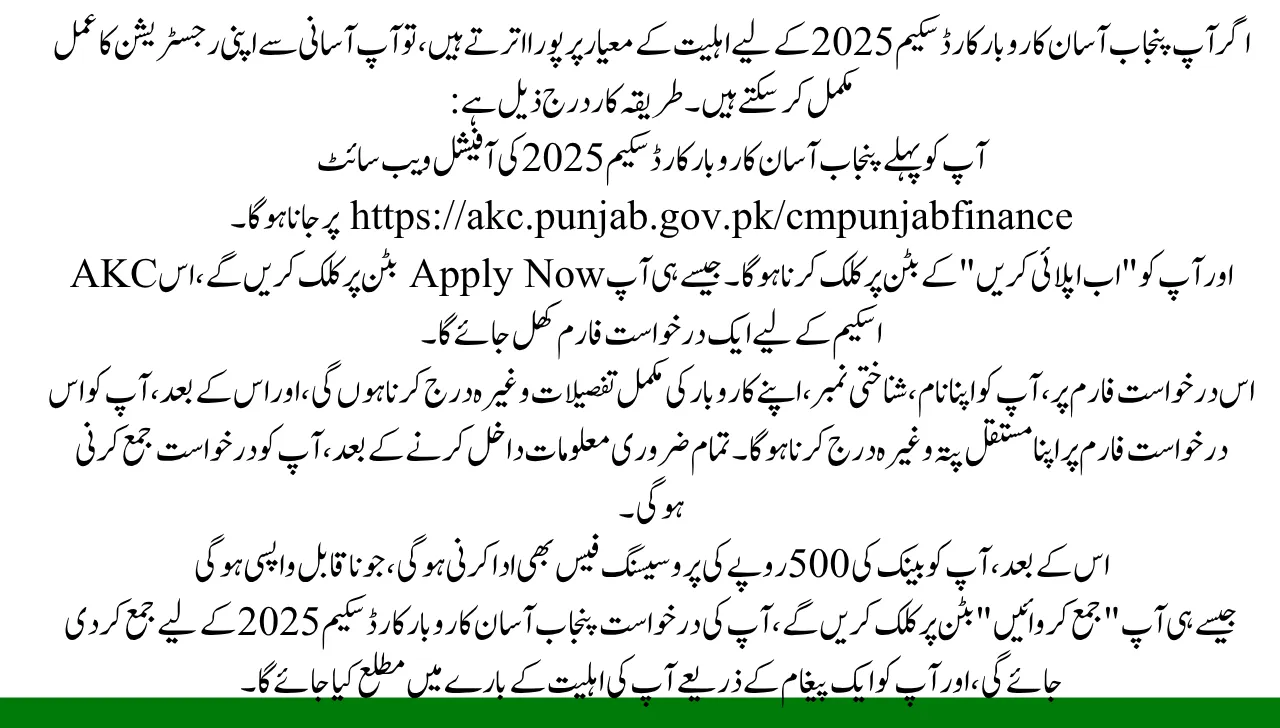 How to Apply Online For the Punjab Asaan Karobar Card Scheme 2025