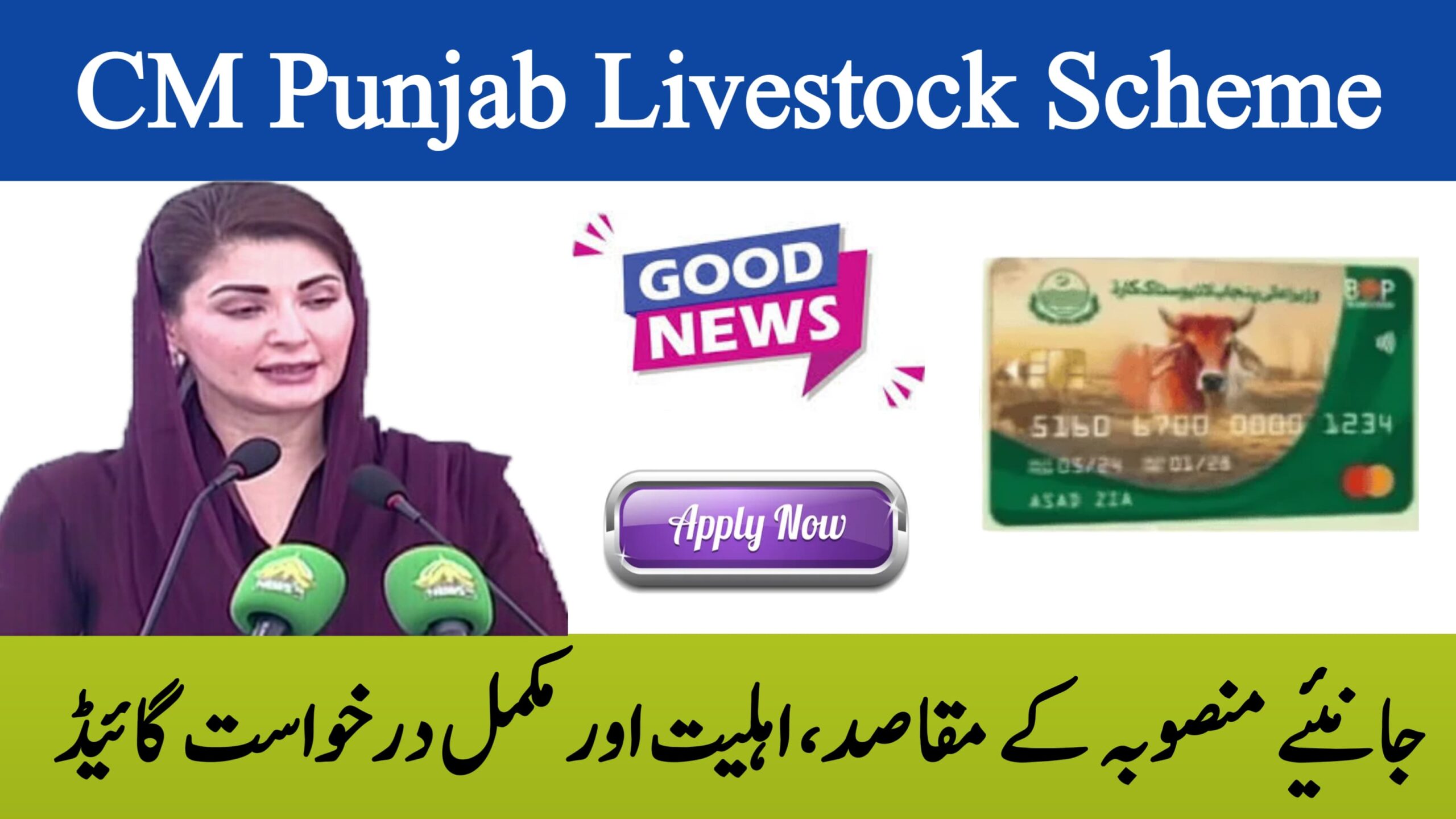 CM Punjab Livestock Scheme 2025 || A New Dawn for Rural Farmers and Livestock Owners, rozgarscheme.com