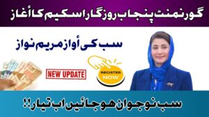 Punjab Rozgar Scheme A Golden Opportunity for Youth to Start Their Careers, rozgarscheme.com