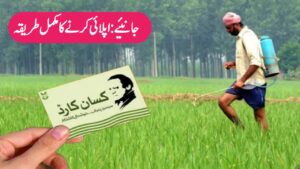 Complete Guide to Applying for the Punjab Kisan Card 2025, rozgarscheme.com