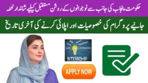 CM Punjab Internship Program 2025 || Key Features, Benefits, and Last Date to Apply, rozgarscheme.com